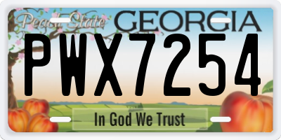 GA license plate PWX7254