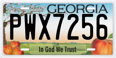 GA license plate PWX7256