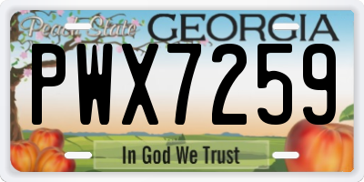GA license plate PWX7259