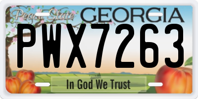 GA license plate PWX7263