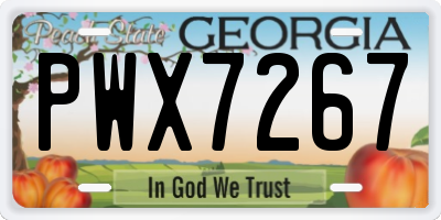 GA license plate PWX7267