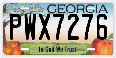 GA license plate PWX7276