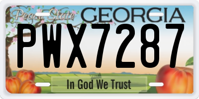 GA license plate PWX7287