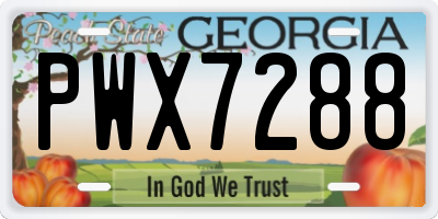 GA license plate PWX7288
