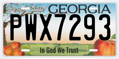GA license plate PWX7293