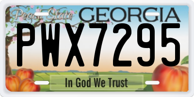 GA license plate PWX7295