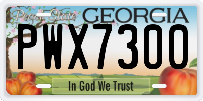 GA license plate PWX7300