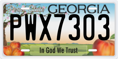 GA license plate PWX7303