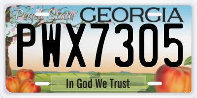 GA license plate PWX7305