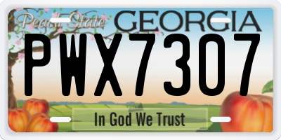 GA license plate PWX7307