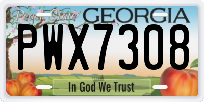 GA license plate PWX7308