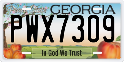 GA license plate PWX7309