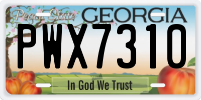 GA license plate PWX7310