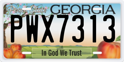 GA license plate PWX7313