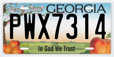 GA license plate PWX7314