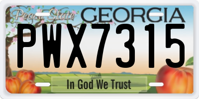 GA license plate PWX7315