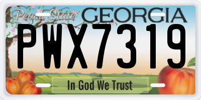 GA license plate PWX7319