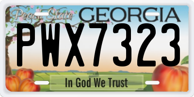 GA license plate PWX7323