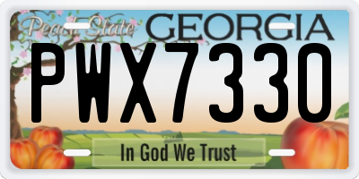 GA license plate PWX7330