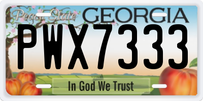 GA license plate PWX7333