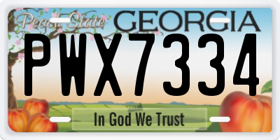 GA license plate PWX7334