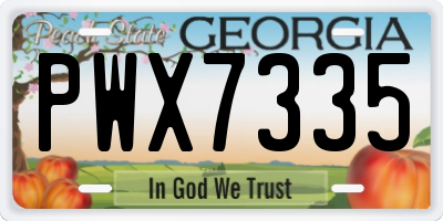 GA license plate PWX7335