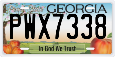 GA license plate PWX7338