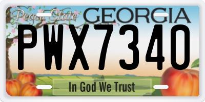 GA license plate PWX7340