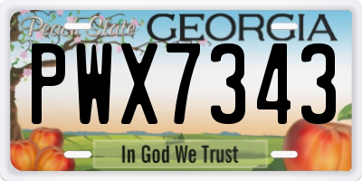 GA license plate PWX7343