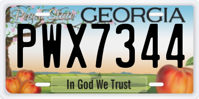GA license plate PWX7344