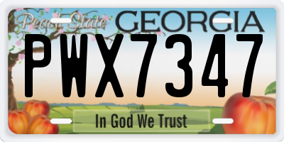 GA license plate PWX7347