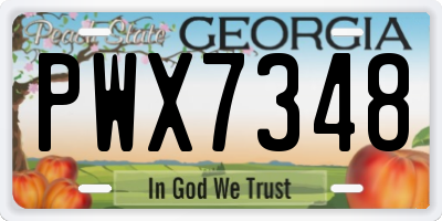 GA license plate PWX7348