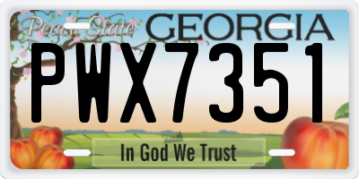 GA license plate PWX7351