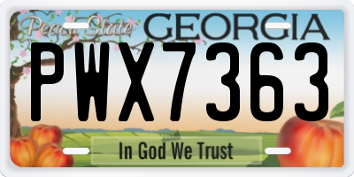 GA license plate PWX7363