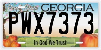 GA license plate PWX7373
