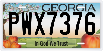 GA license plate PWX7376