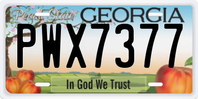 GA license plate PWX7377