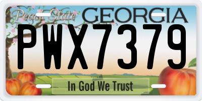 GA license plate PWX7379