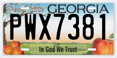 GA license plate PWX7381