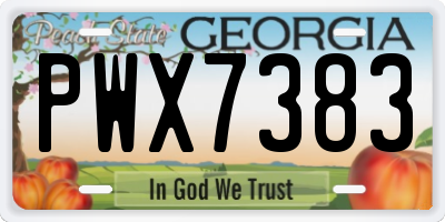 GA license plate PWX7383