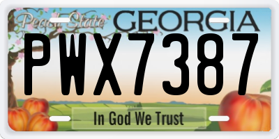 GA license plate PWX7387