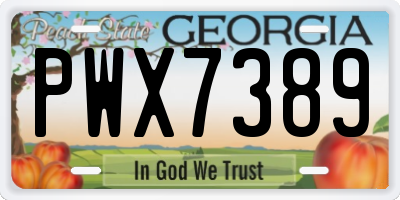 GA license plate PWX7389
