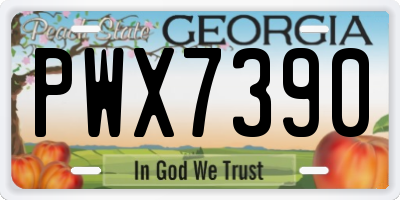 GA license plate PWX7390