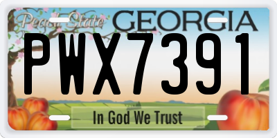 GA license plate PWX7391