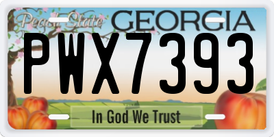 GA license plate PWX7393