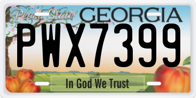 GA license plate PWX7399