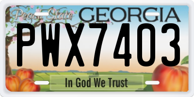 GA license plate PWX7403