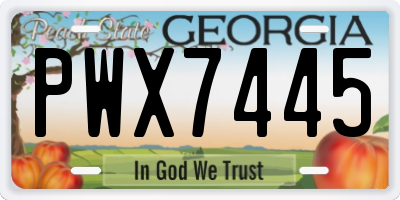 GA license plate PWX7445