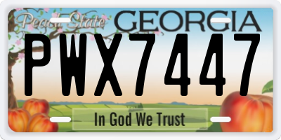 GA license plate PWX7447