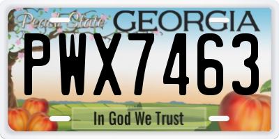 GA license plate PWX7463